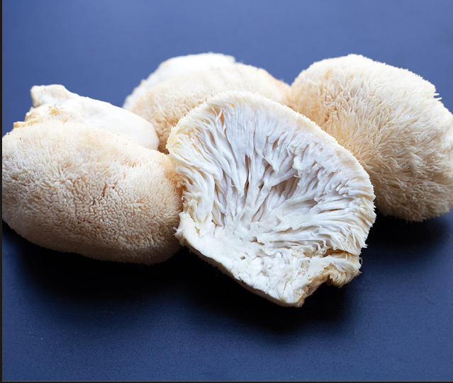 Lion's Mane