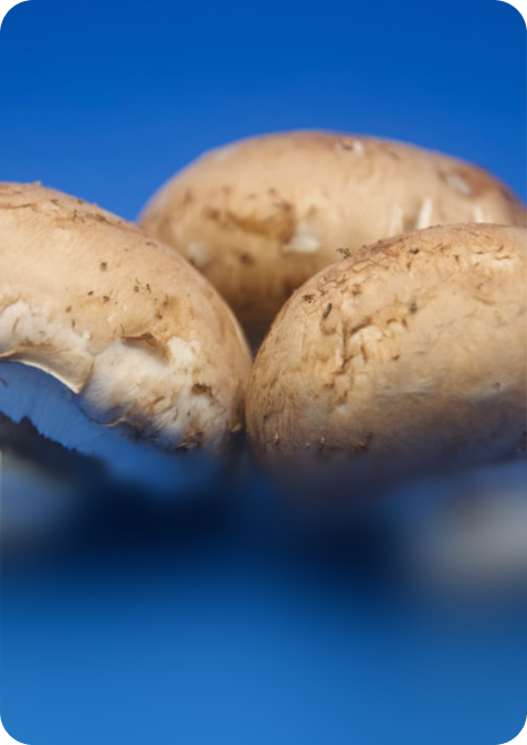 ADAPTOGENS