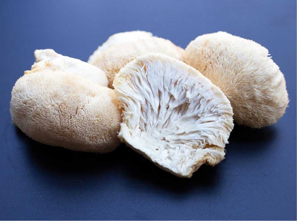 Lion's Mane & Adaptogens