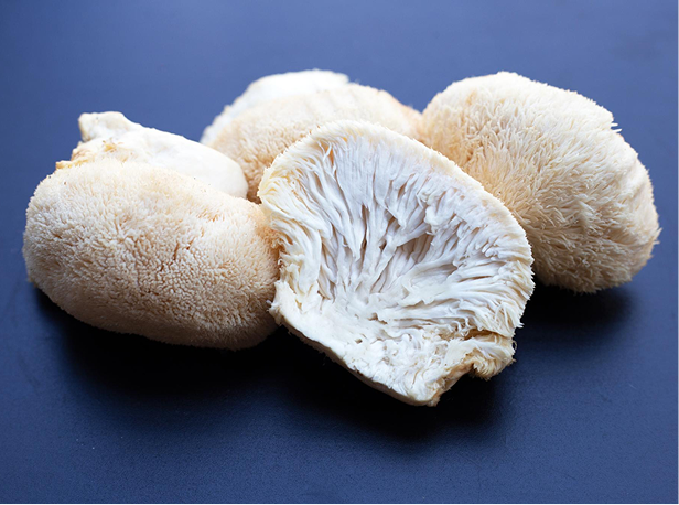 Lion's Mane & Adaptogens